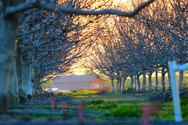 云呼网页版免费试用