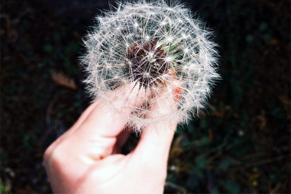 手机号验证码轰炸平台