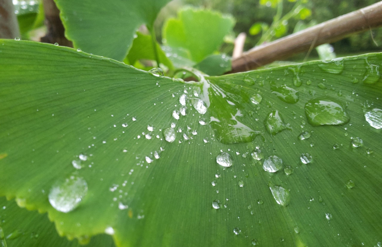 手机号验证码轰炸平台